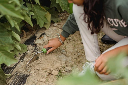 La importancia de los proyectos ambientales