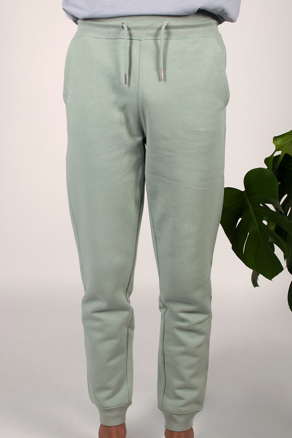 Organic cotton jogger pants - Aloe