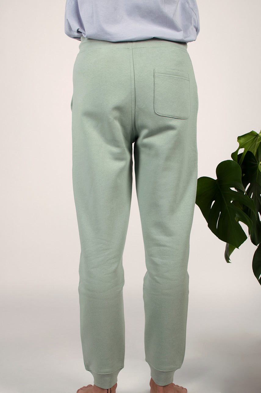 Organic cotton jogger pants - Aloe